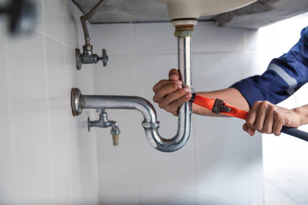 Best Local Plumber Services  in Hughesville, PA